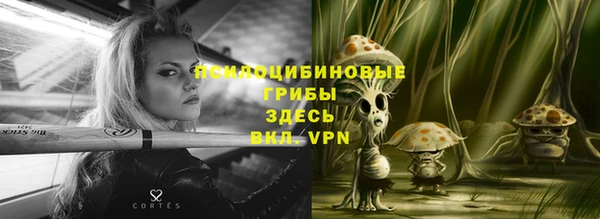 марки nbome Снежногорск