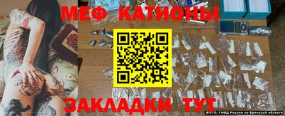 сатива Берёзовский