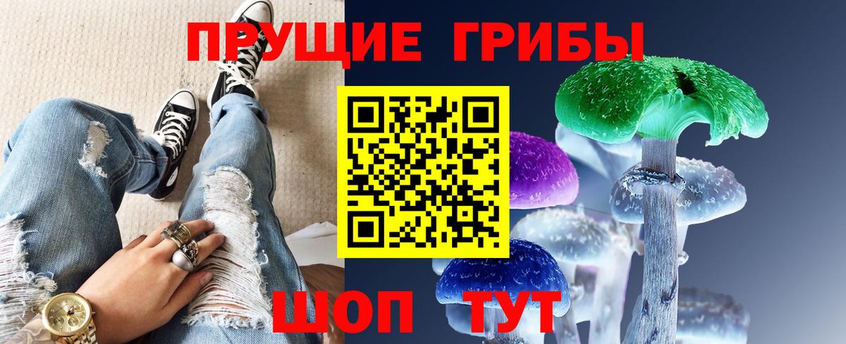 Галлюциногенные грибы мухоморы  Сосновоборск  Псилоцибиновые грибы Psilocybine cubensis 