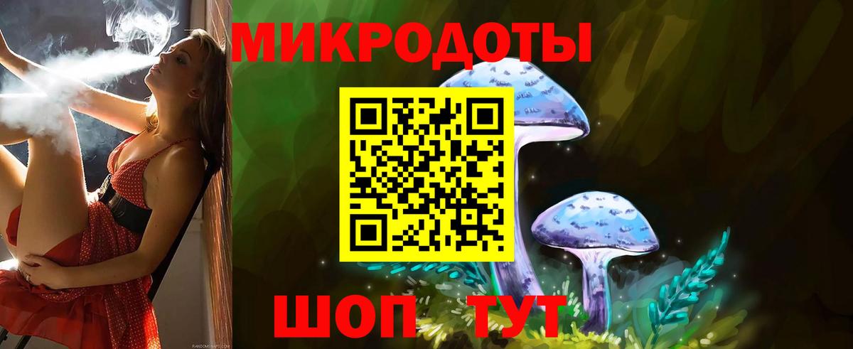Псилоцибиновые грибы Psilocybe Сосновоборск